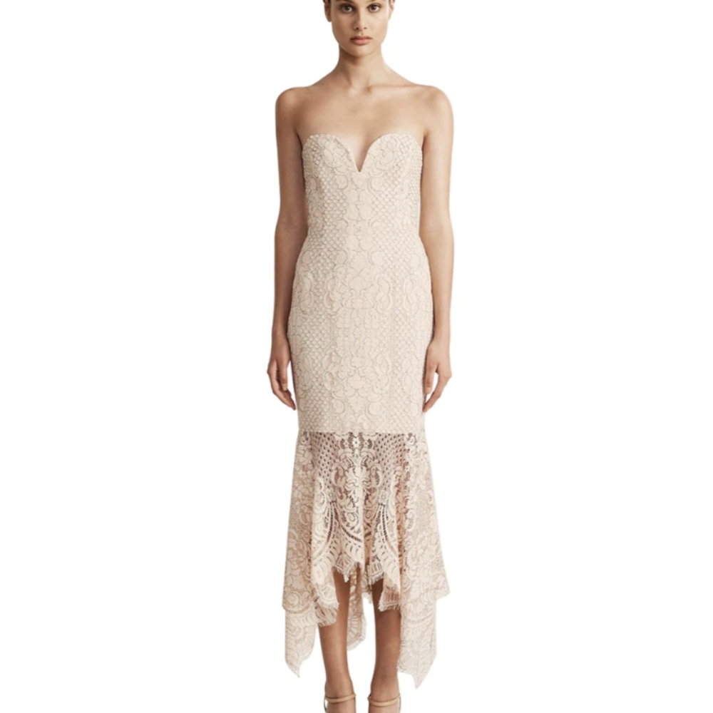 Shona Joy Women's Lace Cocktail Handkerchief Midi Dress in Nude (US Size 10)